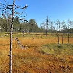 Aamunkoi Skyview A Дом отдыха Сиоте