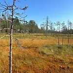 Aamunkoi Skyview A Сиоте