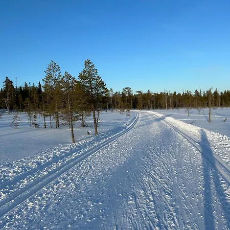 Aamunkoi Skyview A Iso-Syöte