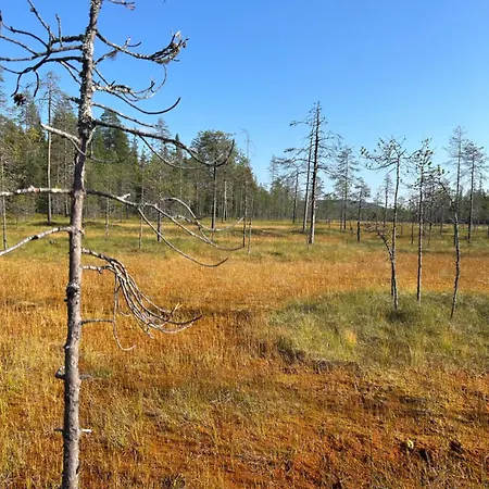 Aamunkoi Skyview A Nyaraló Syöte