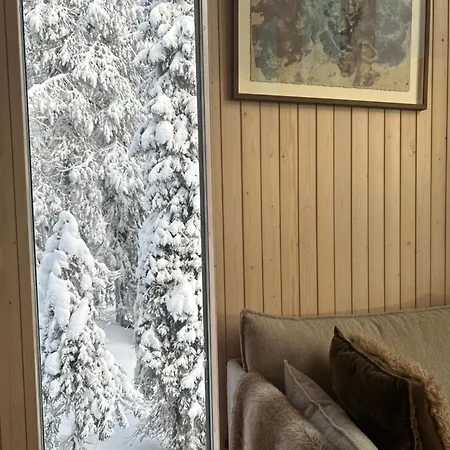 Aamunkoi Skyview A *