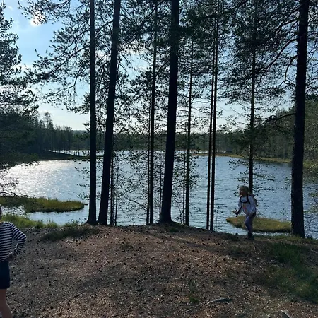 Aamunkoi Skyview A * Syöte