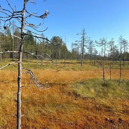 Aamunkoi Skyview A Syöte