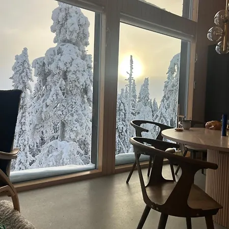 Loma-asunnot Aamunkoi Skyview A Iso-Syöte