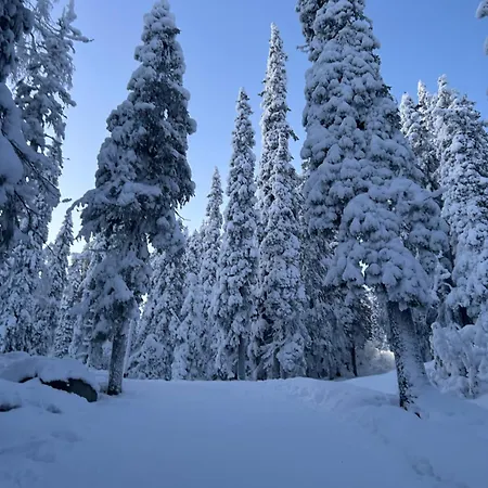 Loma-asunnot Aamunkoi Skyview A *