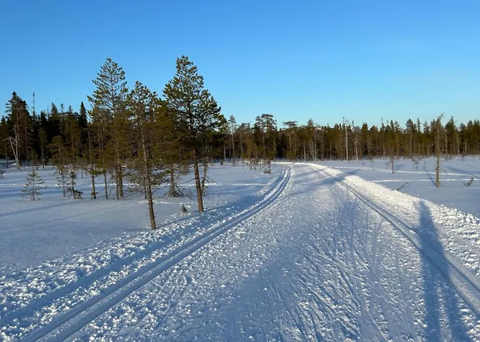Aamunkoi Skyview A Syöte