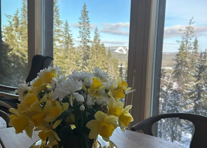 Semesterbostad Aamunkoi Skyview A *