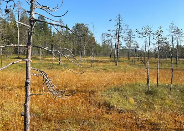 Aamunkoi Skyview A Loma-asunnot Iso-Syöte