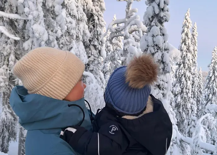 Aamunkoi Skyview A * Syöte