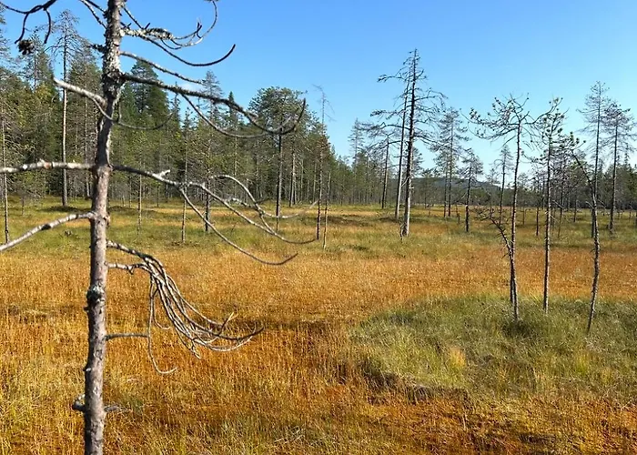 Aamunkoi Skyview A Syöte