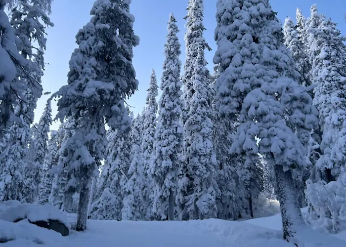 Semesterbostad Aamunkoi Skyview A *